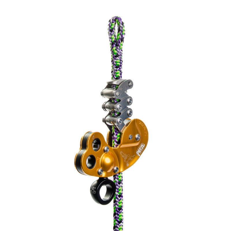 ARGIOPE 11.7 EVO Berry