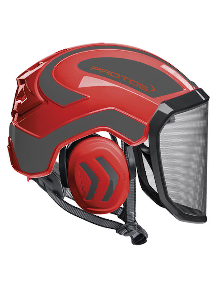 Casco Protos